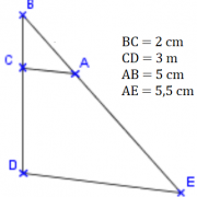Les droites (AC) et (DE) sont-elles parallèles ? (cliquez sur la photo)