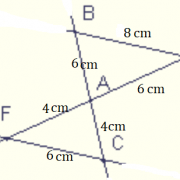 Les droites (BE) et (FC) sont-elles parallèles ? (cliquez sur la photo)